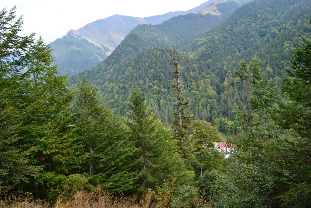 [DSC_12523.jpg]