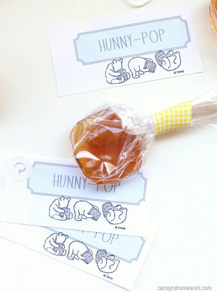 Hunny Pops inspired by Winnie the Pooh {via homework} (23)