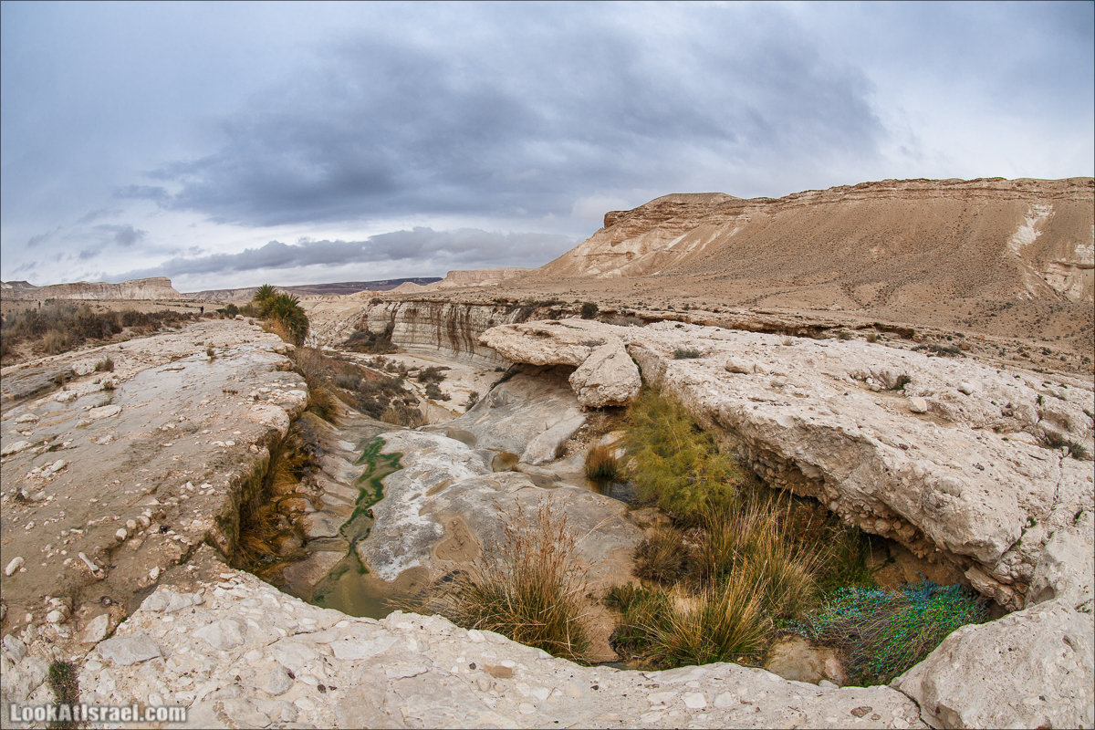Ручей Акев и источник Эйн Акев в пустыне Негев. LookAtIsrael.com - Фото путешествия по Израилю
