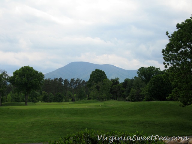 [Stoney%2520Creek%2520View%255B3%255D.jpg]