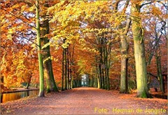 herfst350