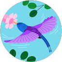 Image Google de Linda Lacassagne