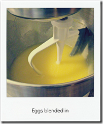eggs blended