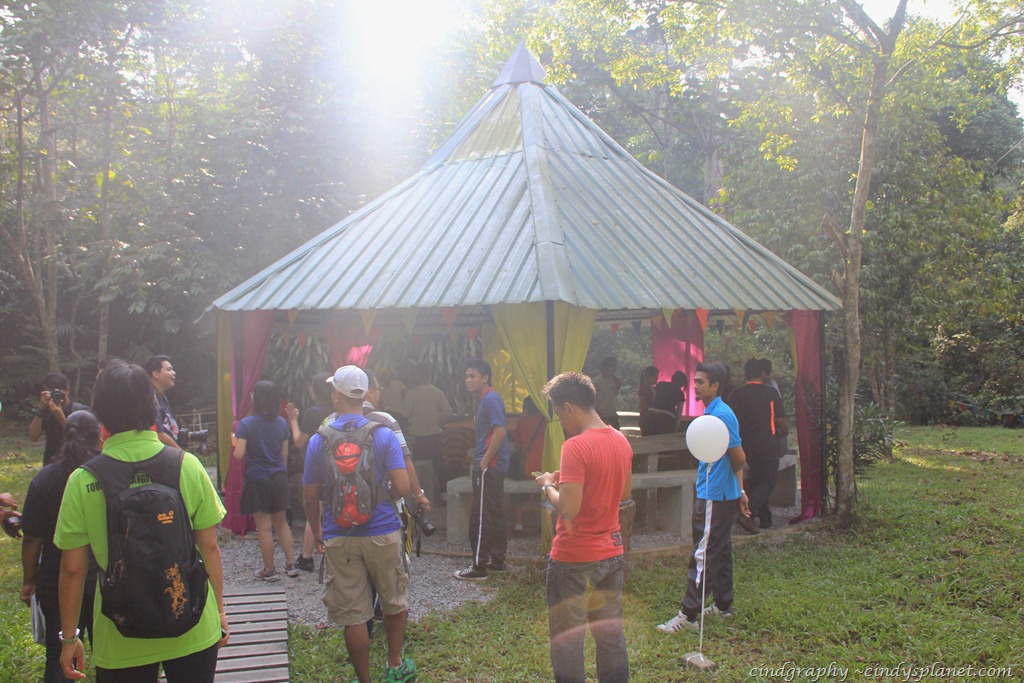 [SkyTrex-Resting-Hut4.jpg.webp]