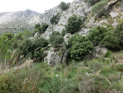 2012-10-20 Mallorca by BREITENGRAD53 - 051