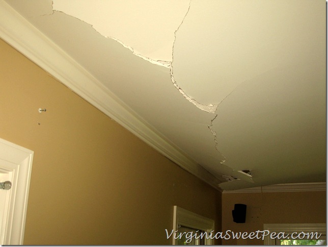 Family Room Ceiling Damage