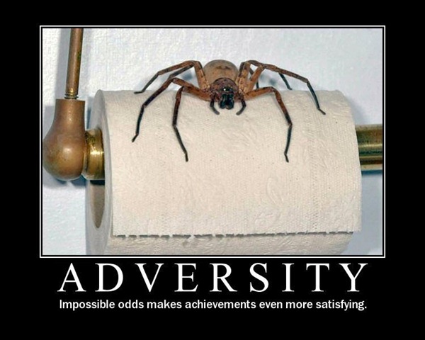 [adversity-spider%255B4%255D.jpg]
