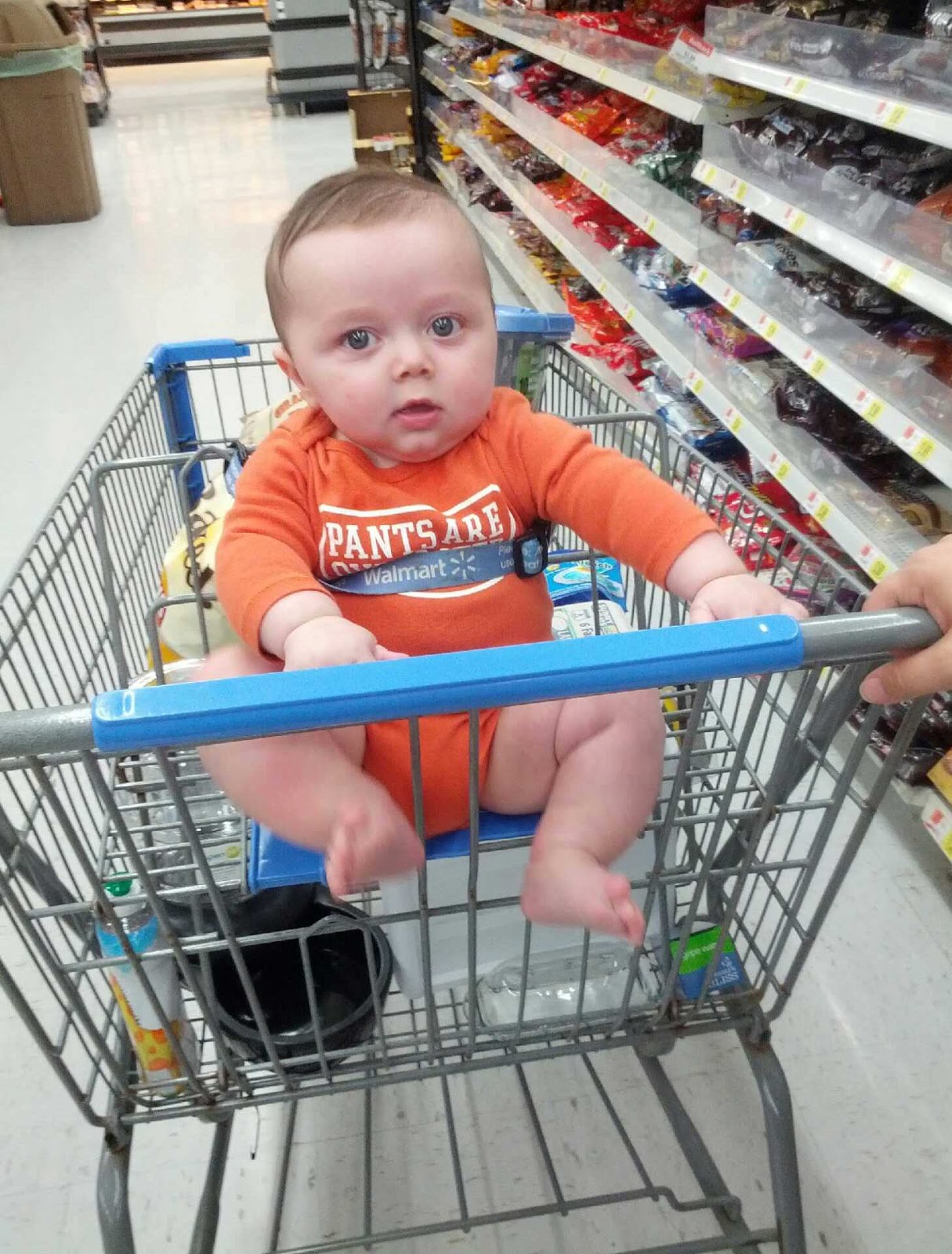 Everett Reid Big boy in the shopping cart.