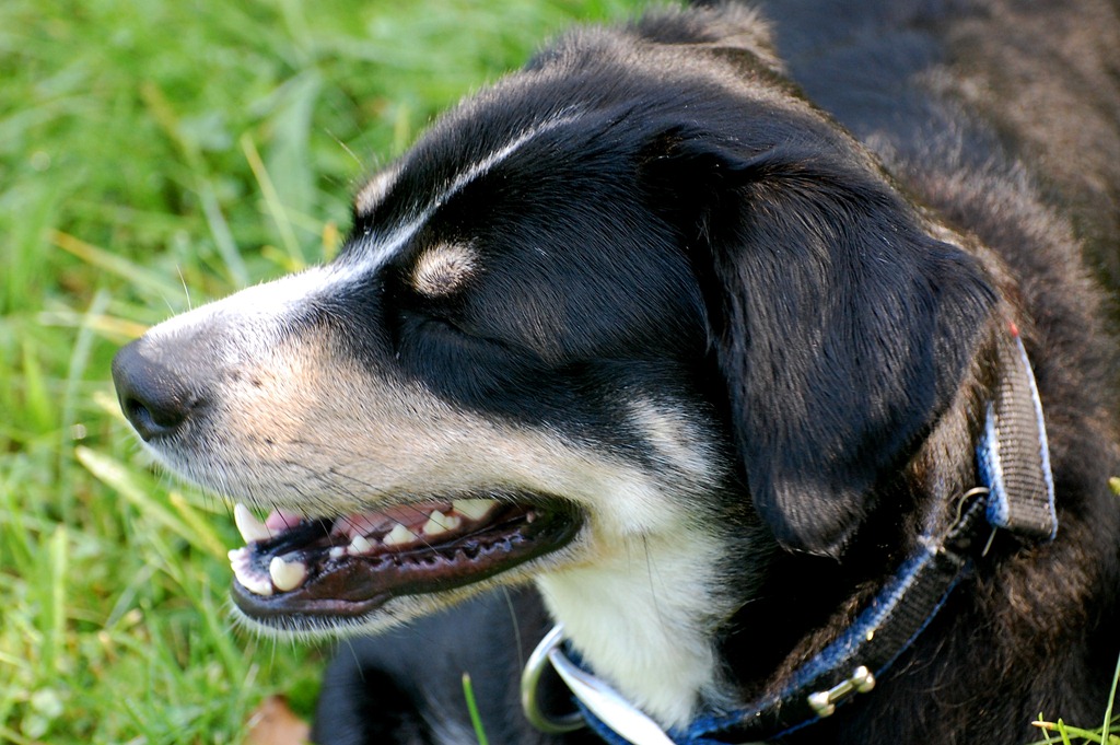 [DSC_4450%255B4%255D.jpg]