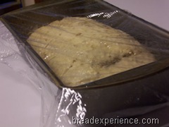 einkorn-oatmeal-bread 030
