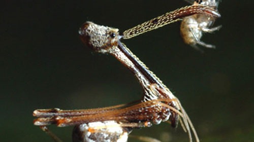 [clip_image003%255B4%255D.jpg]