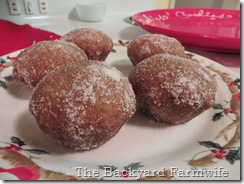 cider muffins - The Backyard Farmwife