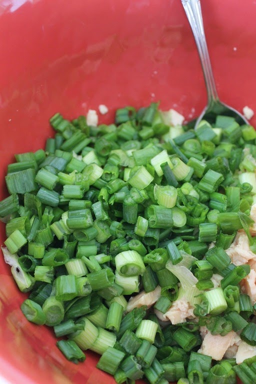 green onions salad