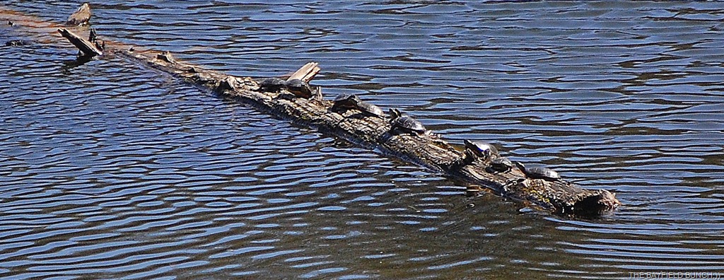 [DSC_7167%255B4%255D.jpg]