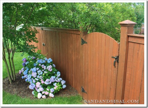 Copper Capped Fence with Hydrangeas (800x566)