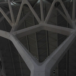 40.- Calatrava. Museo de Ciencias