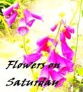 flowers_on_Saturday