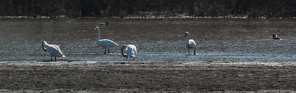 [DSC_9255%255B4%255D.jpg]