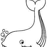 BALLENA 4