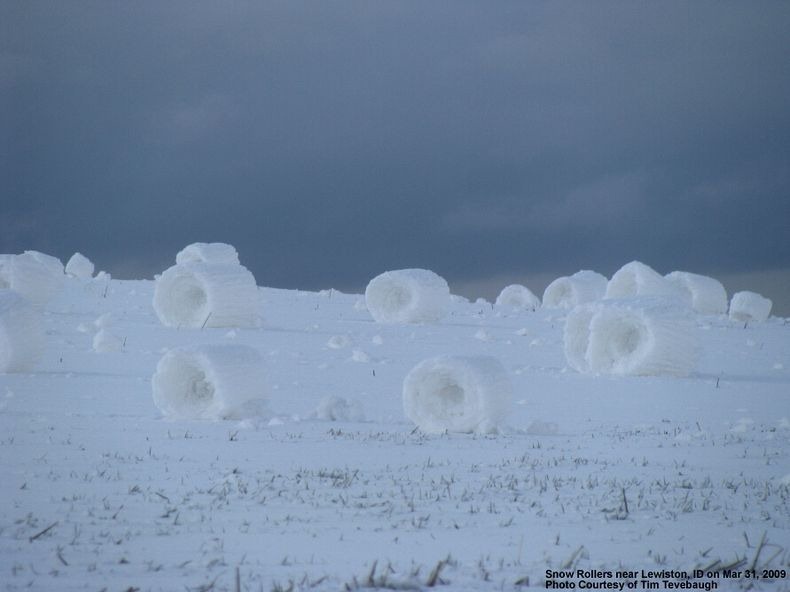 snow-roller-21 snow-roller-21