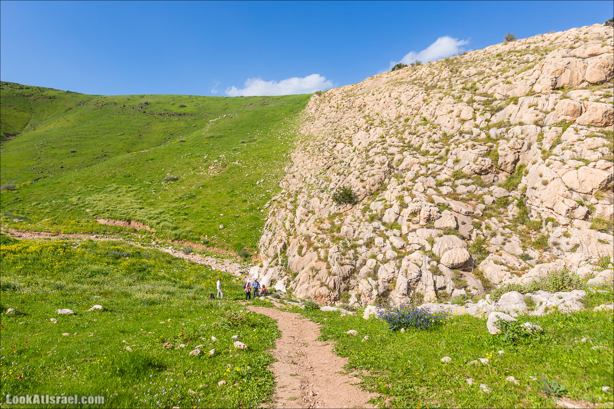 LookAtIsrael.com - Ручей (нахаль) Талкид | Nahal Talkid | נחל תלקיד