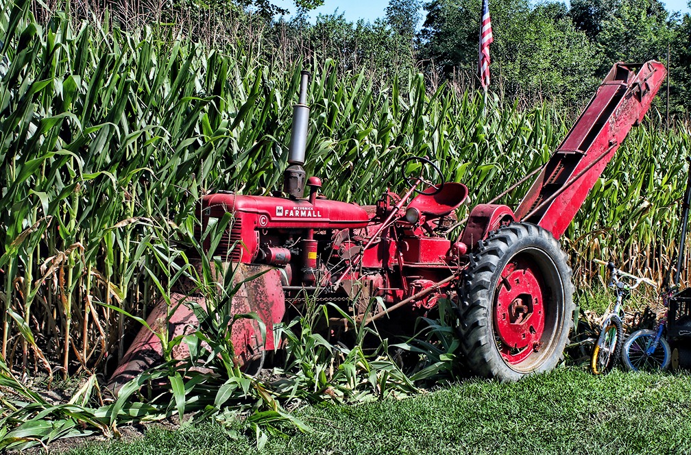 [National%2520Pike%2520Antique%2520Tractor%2520show%25208%255B4%255D.jpg]