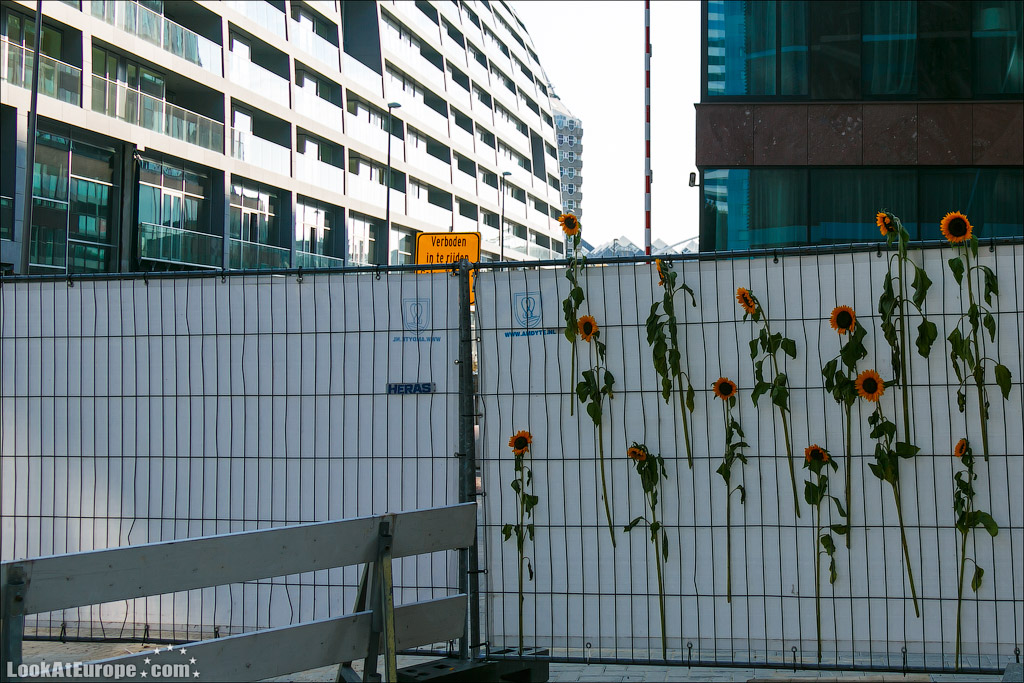 LookAtEurope.com - Роттердам | The Netherland, Rotterdam