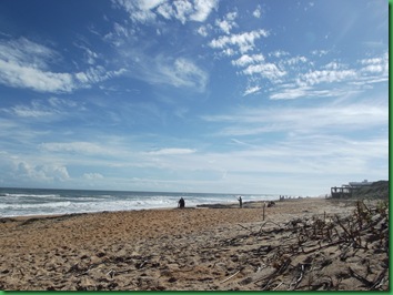 On the beach at Gamble Rogers 012