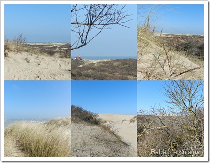 Belgique 2012 dunes