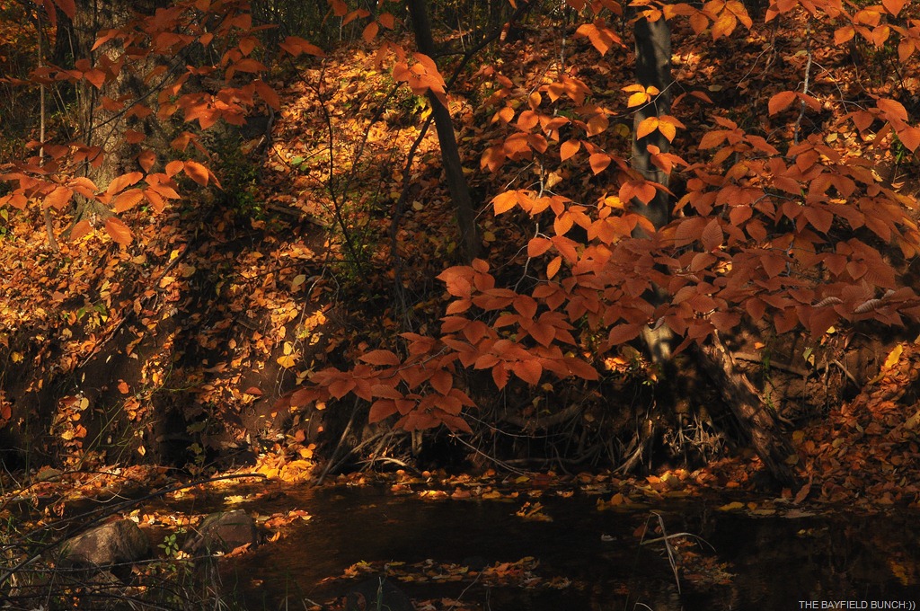 [DSC_0045%255B3%255D.jpg]