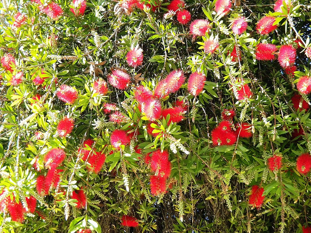 [DSCN3496%2520-%2520Kopie%255B5%255D.jpg]