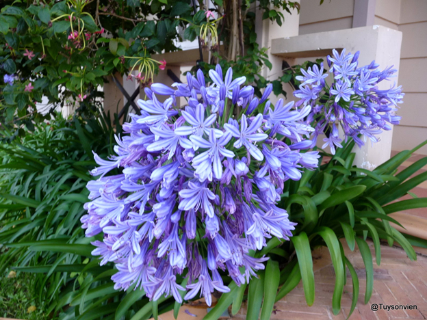 [image%255B23%255D.png]