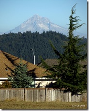 Mt. Hood from Clatsop Butte.  Portland, Oregon.  October 1, 2012.