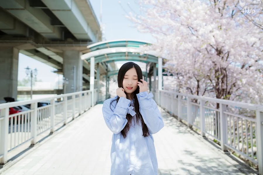 Bambi (밤비) Lacerta Photography