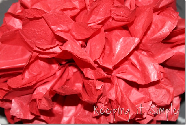 tissue paper pom pom (11)