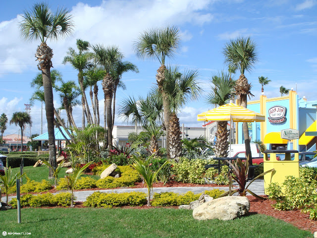 palm trees in beautiful cocoa beach in Cocoa Beach, United States 