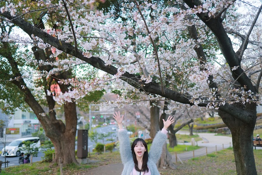 [Patreon] 쏘블리 (@leeesovely) Sakura Part1