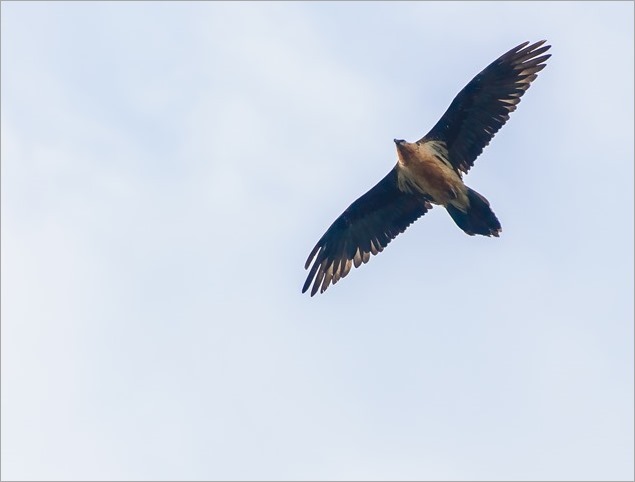 DSC_0094 DSC_0094