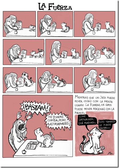 humor gatos humor gatos