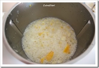 7-granissat  llimona cuinadiari-4-1