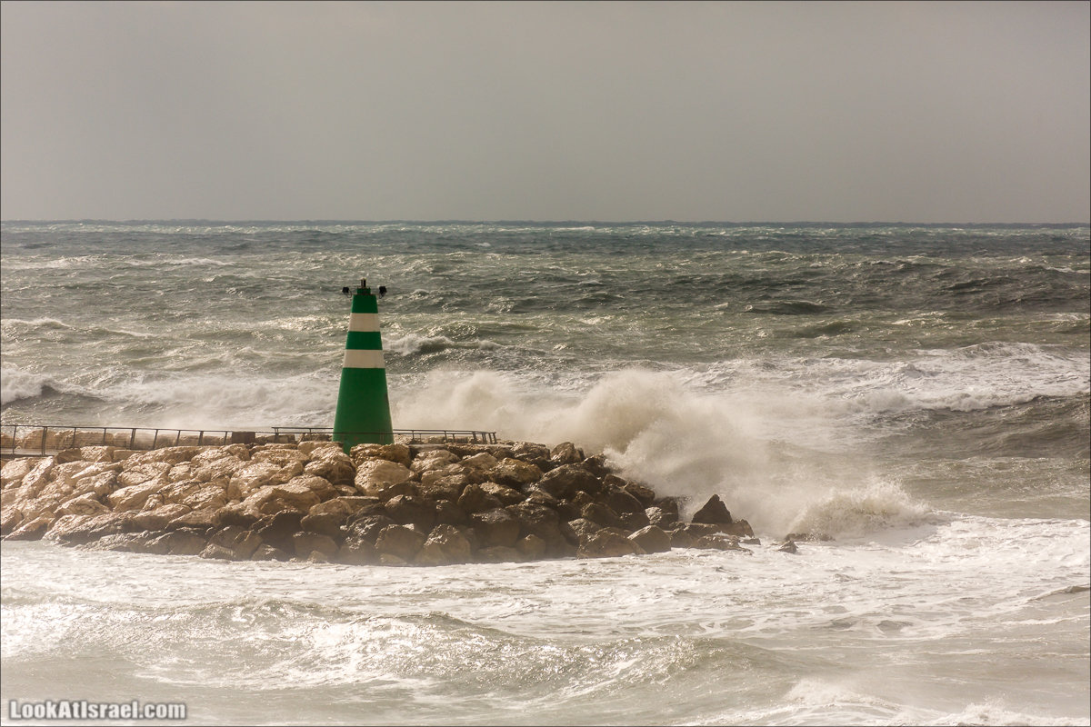 LookAtIsrael.com - Прогулка по дождливому Тель Авиву | Rain in Tel Aviv
