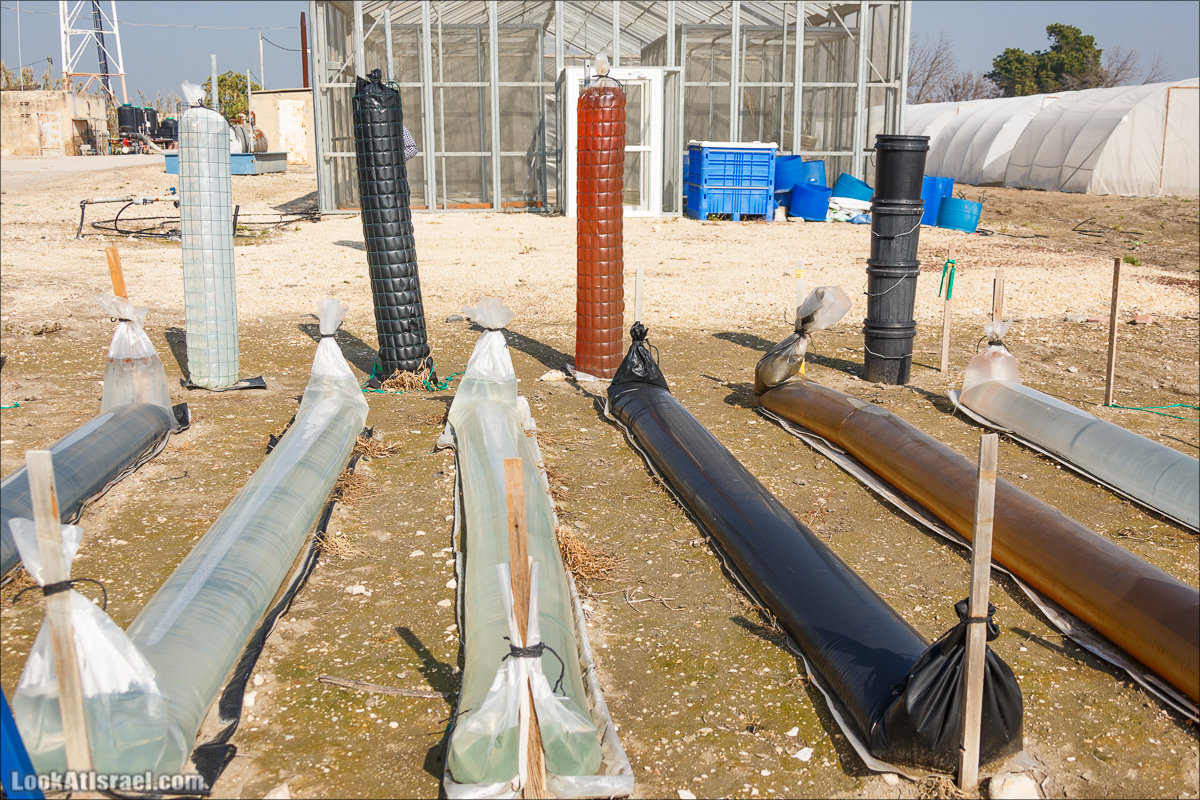 Сельскохозяйственная школа Хава бе-Эден | Hava be-Eden farm | LookAtIsrael.com - Фото путешествия по Израилю | חווה בעדן