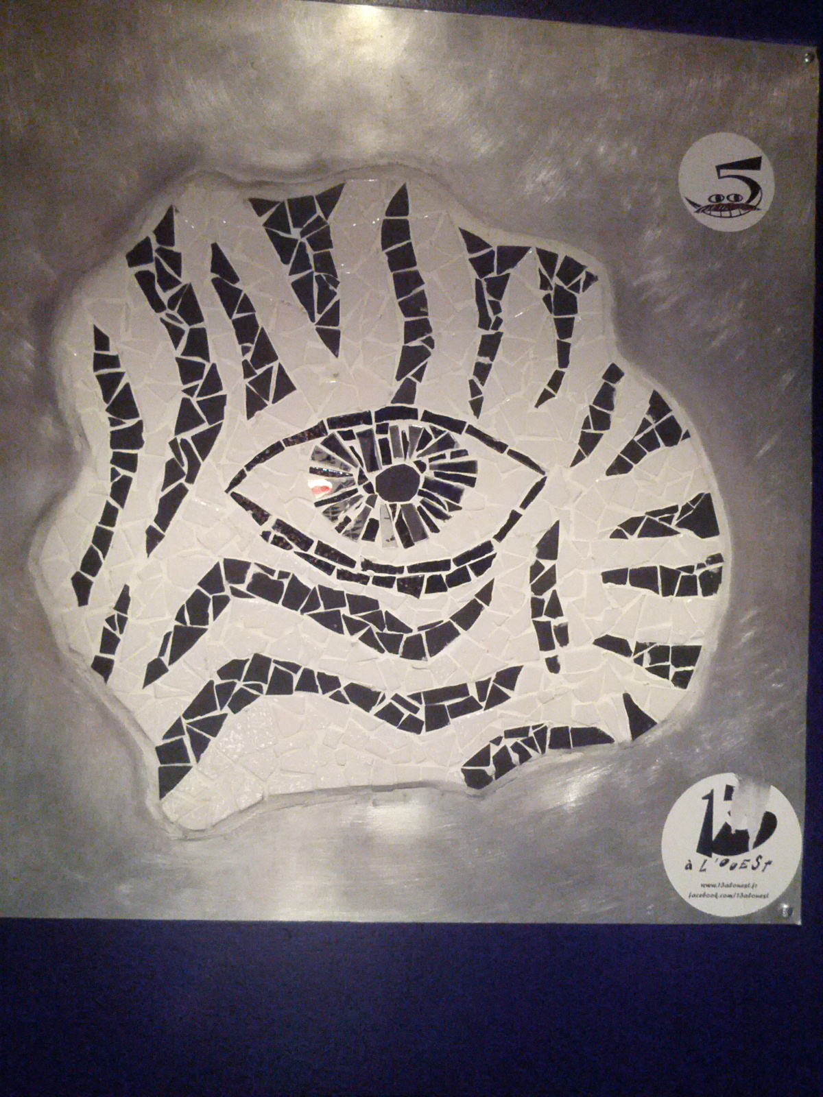 A Zebra Among Horses