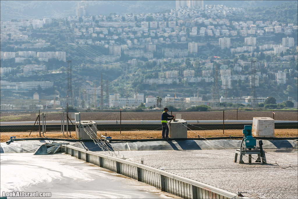 LookAtIsrael.com - Восстановление реки Кишон | Recovering Kishon river | שיחזור נחל קישון