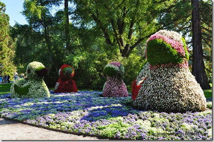 22-Mainau (Isla de las Flores). Patitos de Flores - DSC_0403