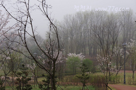 [%25C2%25A0%25C2%259C%25C3%2580DSC09901-20120423-083630%255B3%255D.jpg]