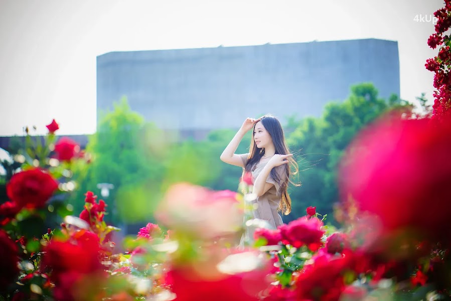 Bambi (밤비) Lacerta Photography