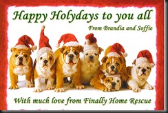 Doggies say: Merry Christmas!