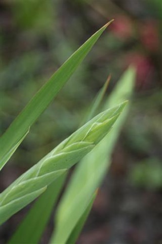 20100729 (2) (Small)