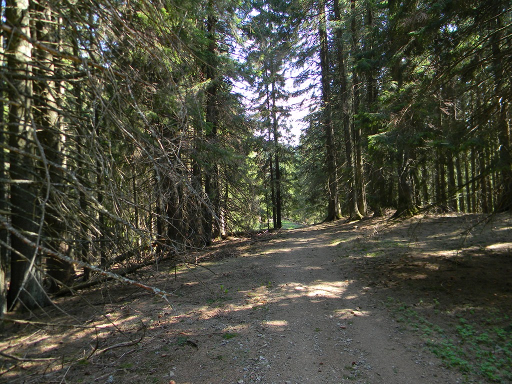[DSCN79243.jpg]